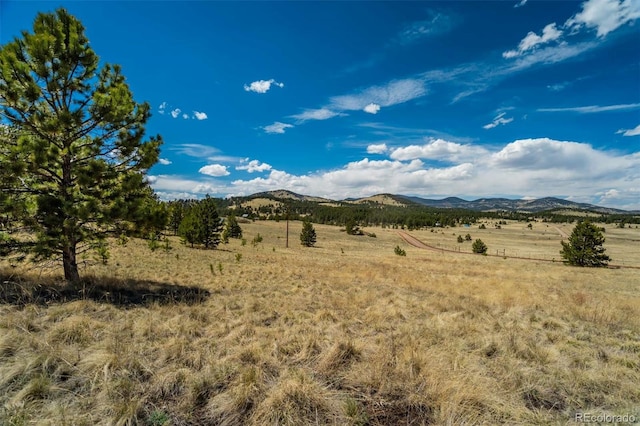 128 Nancy Ann Arroyo, Guffey, CO 80820 - photo 6
