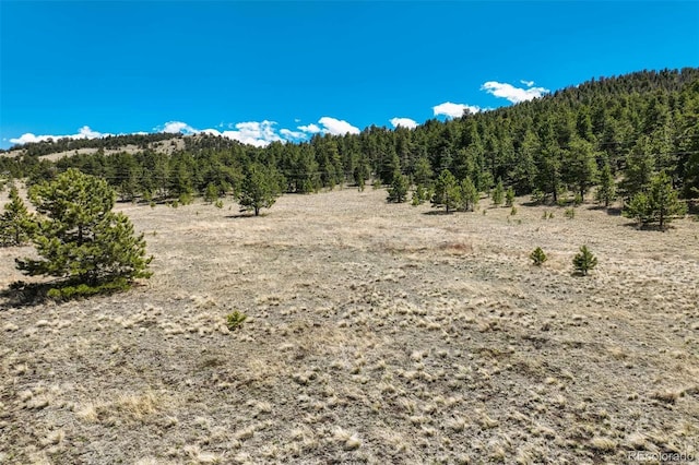 128 Nancy Ann Arroyo, Guffey, CO 80820 - photo 8