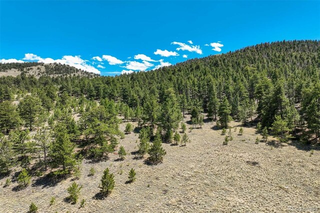 128 Nancy Ann Arroyo, Guffey, CO 80820 - photo 9