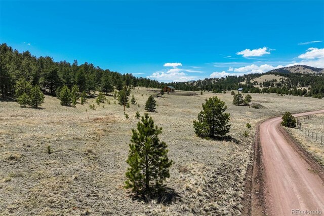 128 Nancy Ann Arroyo, Guffey, CO 80820 - photo 10