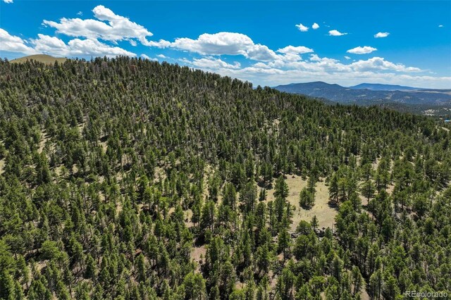 128 Nancy Ann Arroyo, Guffey, CO 80820 - photo 11