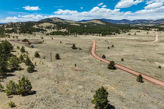 128 Nancy Ann Arroyo, Guffey, CO 80820 - photo 12