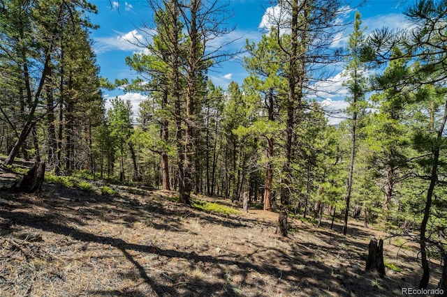 128 Nancy Ann Arroyo, Guffey, CO 80820 - photo 14
