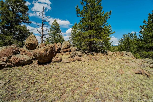 128 Nancy Ann Arroyo, Guffey, CO 80820 - photo 16