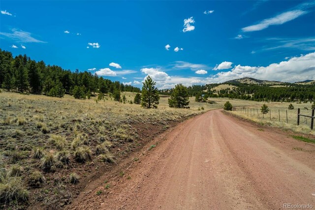 128 Nancy Ann Arroyo, Guffey, CO 80820 - photo 17
