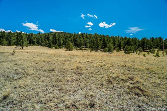 128 Nancy Ann Arroyo, Guffey, CO 80820 - photo 18