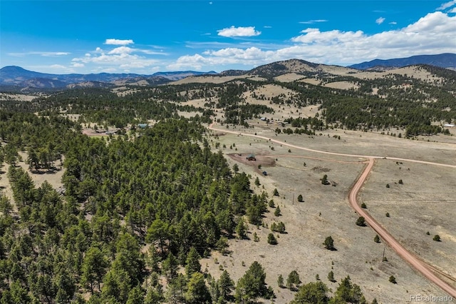 128 Nancy Ann Arroyo, Guffey, CO 80820 - photo 19