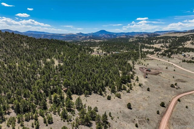 128 Nancy Ann Arroyo, Guffey, CO 80820 - photo 20