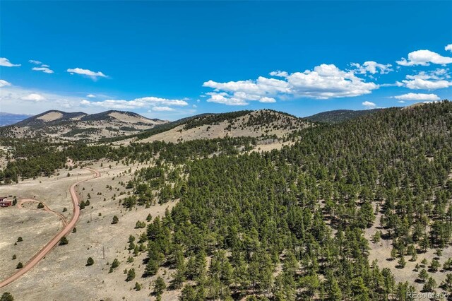 128 Nancy Ann Arroyo, Guffey, CO 80820 - photo 22