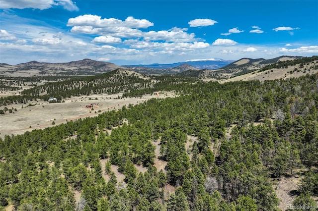 128 Nancy Ann Arroyo, Guffey, CO 80820 - photo 25