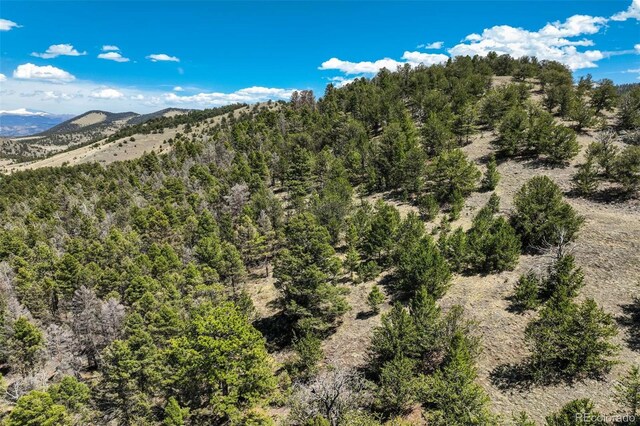 128 Nancy Ann Arroyo, Guffey, CO 80820 - photo 27