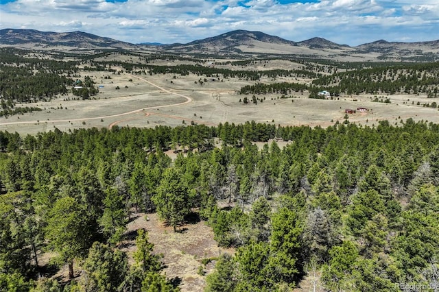 128 Nancy Ann Arroyo, Guffey, CO 80820 - photo 28
