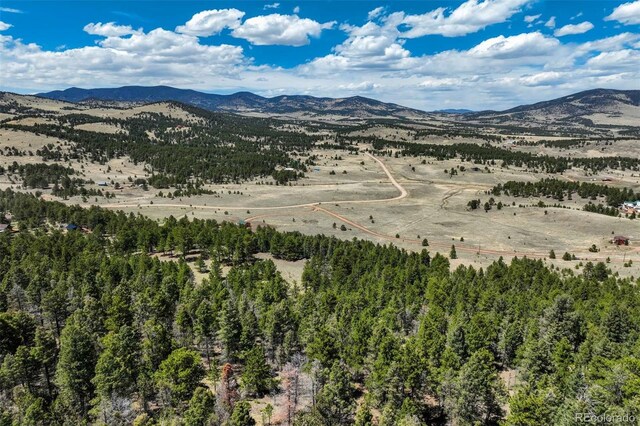 128 Nancy Ann Arroyo, Guffey, CO 80820 - photo 29
