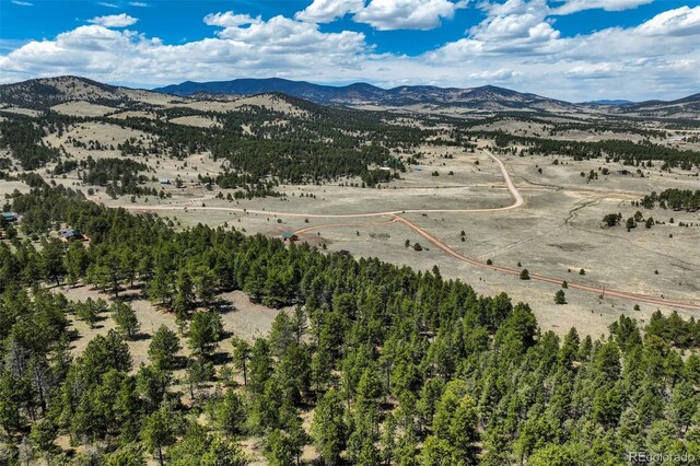 128 Nancy Ann Arroyo, Guffey, CO 80820 - photo 30