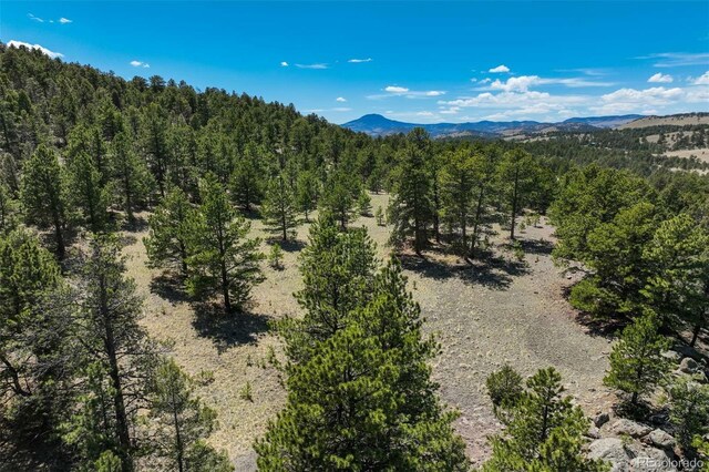 128 Nancy Ann Arroyo, Guffey, CO 80820 - photo 31