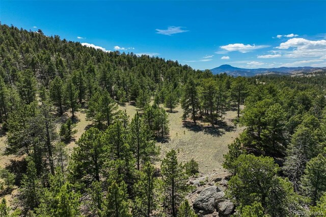 128 Nancy Ann Arroyo, Guffey, CO 80820 - photo 33