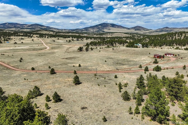 128 Nancy Ann Arroyo, Guffey, CO 80820 - photo 34