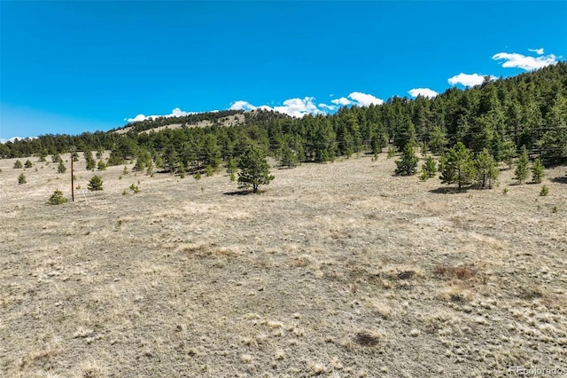 128 Nancy Ann Arroyo, Guffey, CO 80820 - photo 35