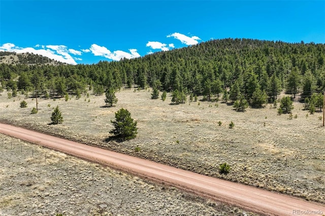 128 Nancy Ann Arroyo, Guffey, CO 80820 - photo 36