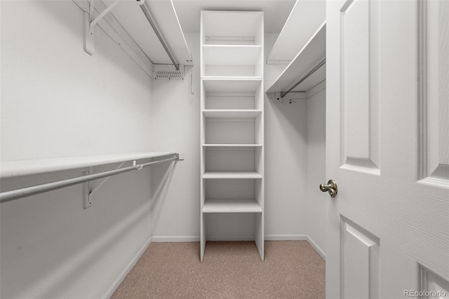 walk in closet featuring light carpet