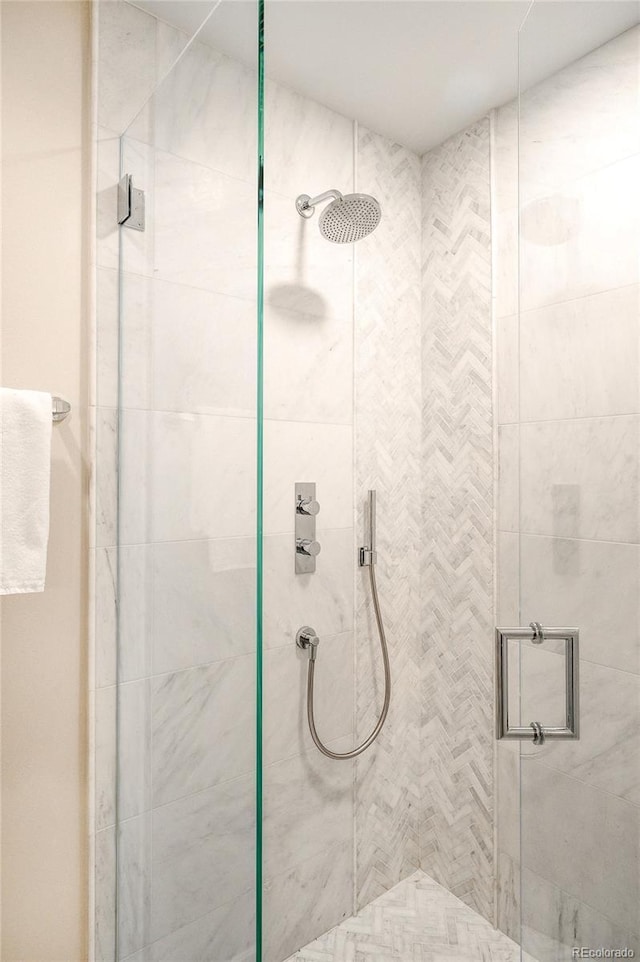 1631 N Emerson St Unit 117, Denver, CO 80218 - bathroom with a shower stall