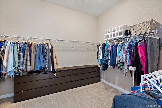 spacious closet featuring carpet