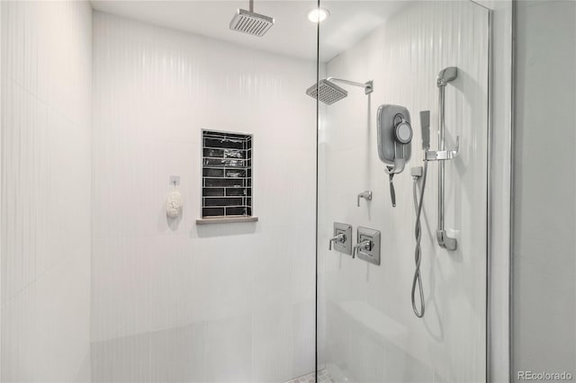 3040 S Dexter Way, Denver, CO 80222 - bathroom view of a stall shower