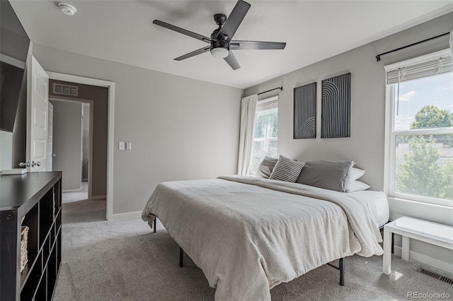 3301 Sandy Harbor Dr, Evans, CO 80620 - photo 15