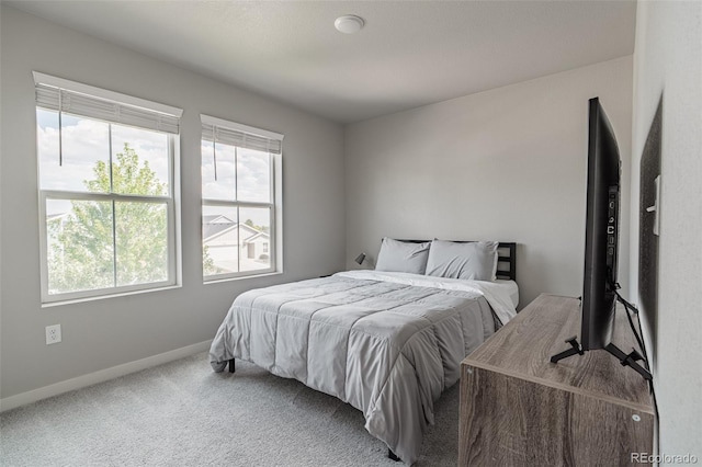 3301 Sandy Harbor Dr, Evans, CO 80620 - photo 19
