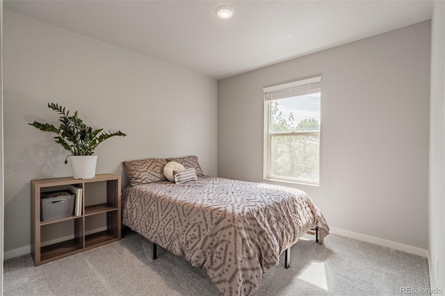 3301 Sandy Harbor Dr, Evans, CO 80620 - photo 20
