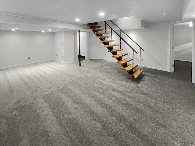 basement featuring carpet flooring