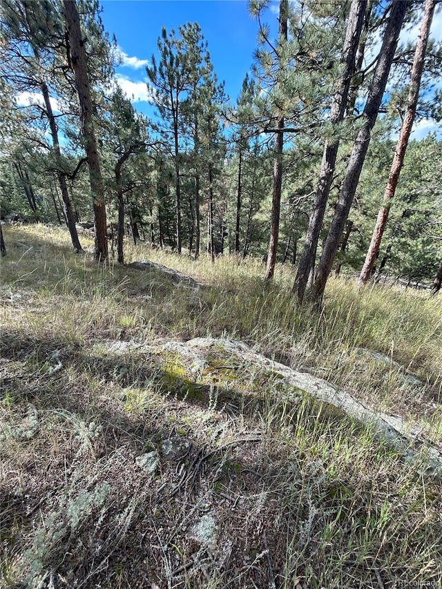 5233 S Road A, Evergreen CO, 80439 land for sale