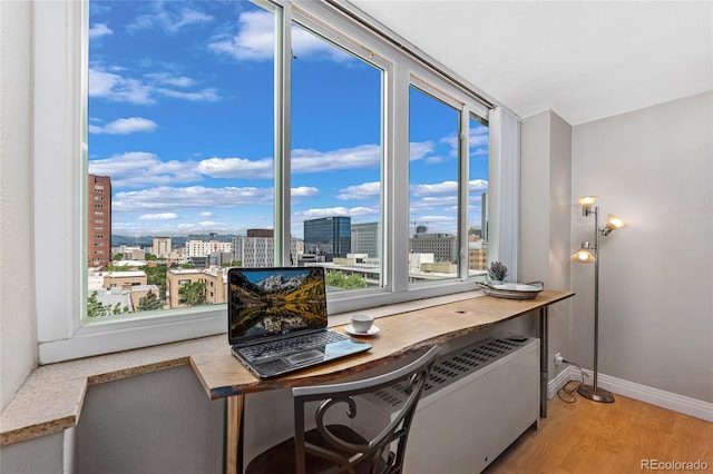 office space featuring a healthy amount of sunlight and light hardwood / wood-style flooring