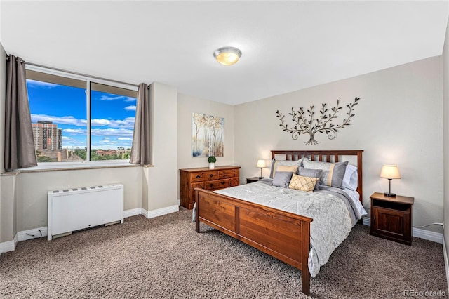 bedroom with radiator heating unit and carpet