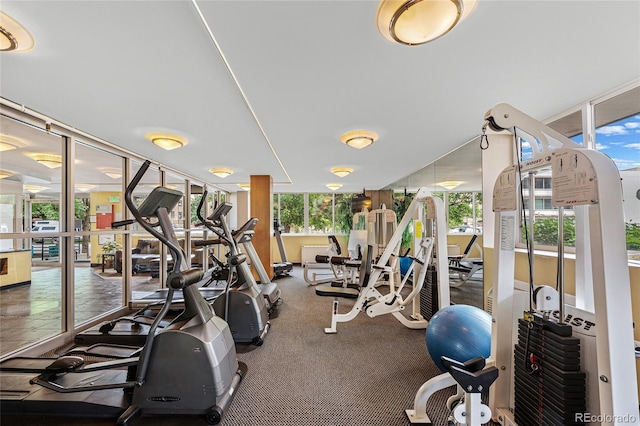 gym featuring a wall of windows and a wealth of natural light