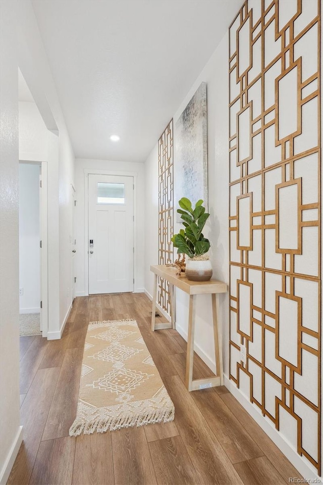 foyer entrance featuring wood-type flooring