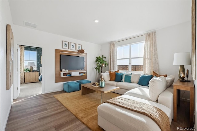 living room featuring hardwood / wood-style floors