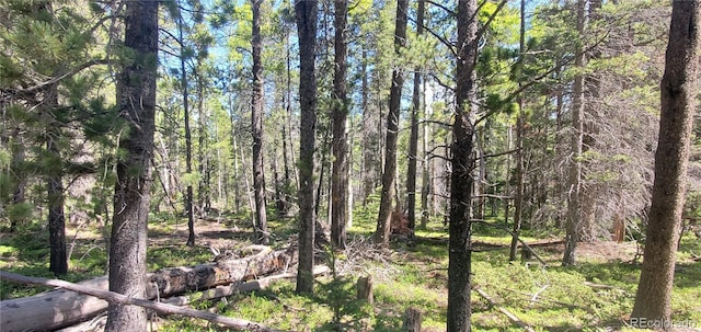 LOT2914 Forbes Loop Ft, Garland, CO 81133 - photo 1