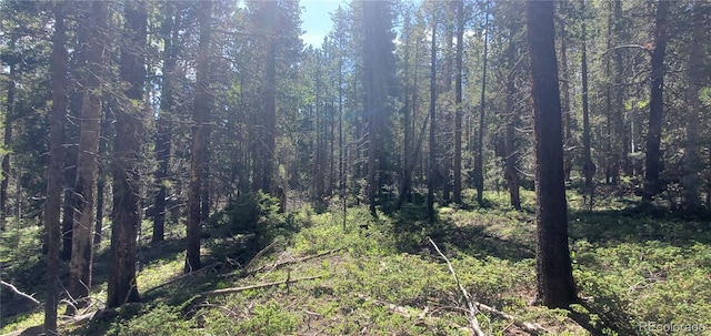 LOT2914 Forbes Loop Ft, Garland, CO 81133 - photo 2