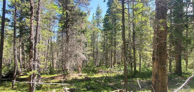 LOT2914 Forbes Loop Ft, Garland, CO 81133 - photo 3