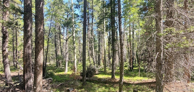 LOT2914 Forbes Loop Ft, Garland, CO 81133 - photo 4