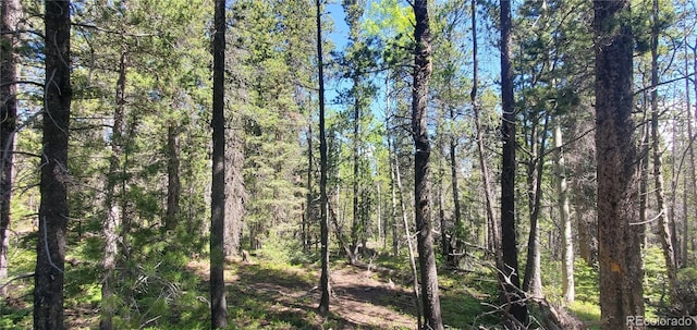 LOT2914 Forbes Loop Ft, Garland, CO 81133 - photo 5