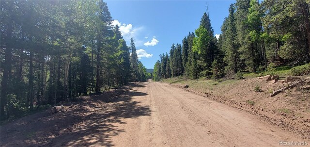 LOT2914 Forbes Loop Ft, Garland, CO 81133 - photo 7