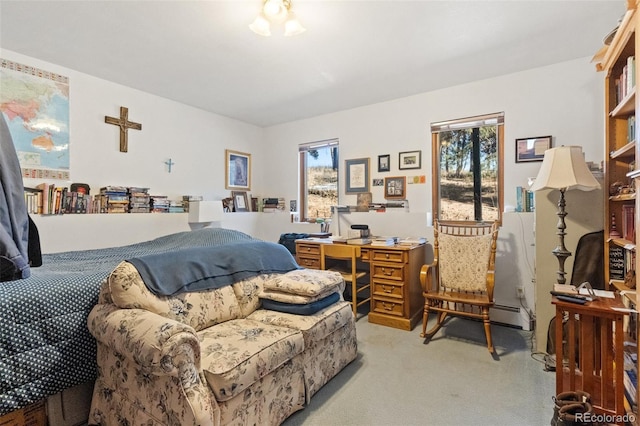 bedroom with light colored carpet