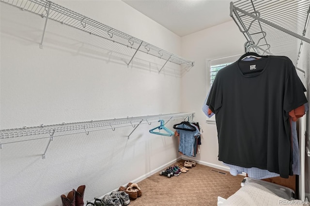 536 Green Ash St Unit D, Highlands Ranch, CO 80129 - photo 18