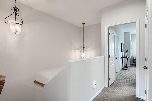 536 Green Ash St Unit D, Highlands Ranch, CO 80129 - photo 21