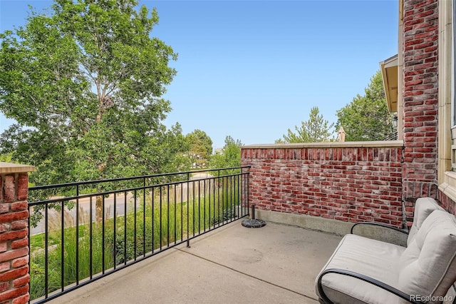 536 Green Ash St Unit D, Highlands Ranch, CO 80129 - photo 26
