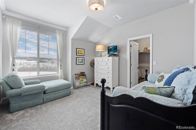 carpeted bedroom with lofted ceiling and a spacious closet