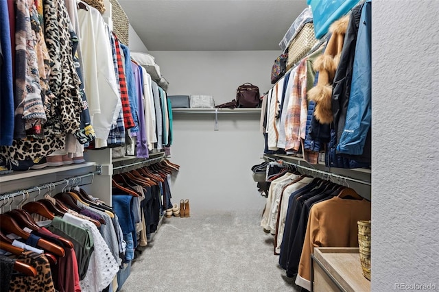 spacious closet featuring light colored carpet