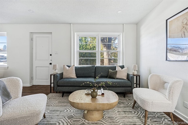 living room featuring wood-type flooring and a textured ceiling